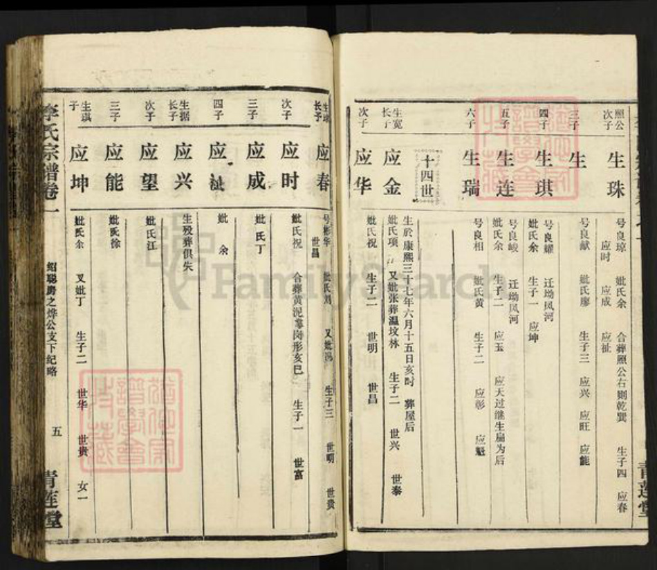 湖北省黄冈市麻城市李氏青莲堂族谱-李氏宗谱.pdf电子版插图5