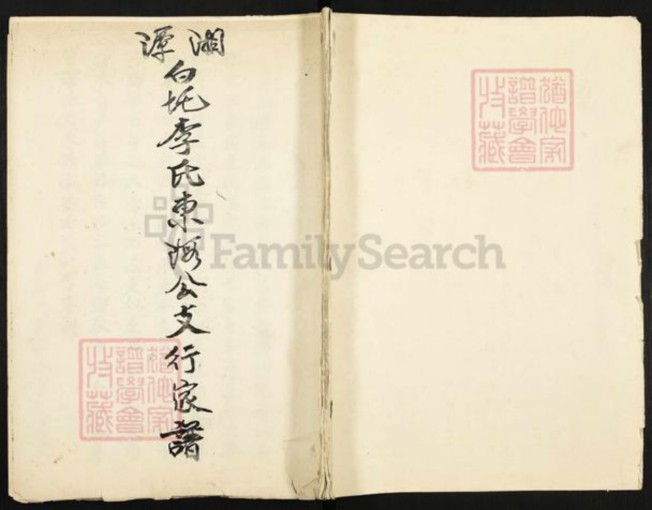 湖南省湘潭市湘潭县石潭镇李氏族谱-湘潭白圫李氏东河公支行家谱.pdf电子版