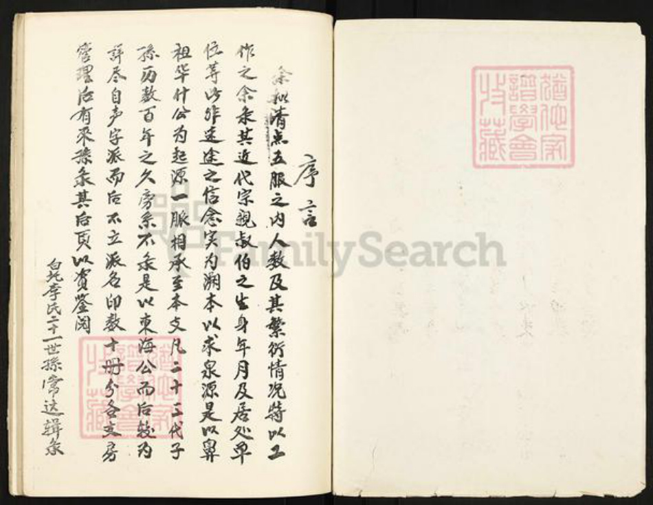 湖南省湘潭市湘潭县石潭镇李氏族谱-湘潭白圫李氏东河公支行家谱.pdf电子版插图1