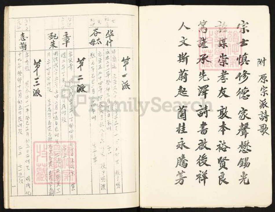 湖南省湘潭市湘潭县石潭镇李氏族谱-湘潭白圫李氏东河公支行家谱.pdf电子版插图2