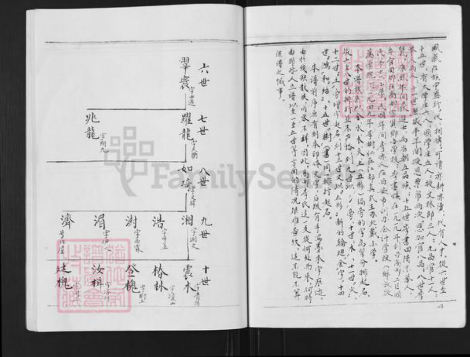 江苏省扬州市高邮市李氏族谱-李氏宗谱.pdf电子版插图3 江苏省扬州市高邮市李氏族谱-李氏宗谱.pdf电子版插图3