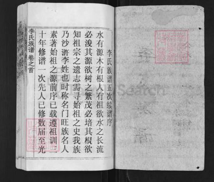 湖北省黄冈市李氏族谱-李氏族谱.pdf电子版插图1