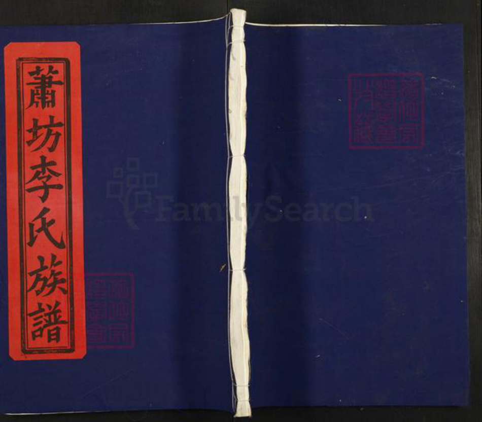 江西省南昌市青山湖区湖坊镇李氏蟠根堂族谱-萧坊李氏族谱.pdf电子版