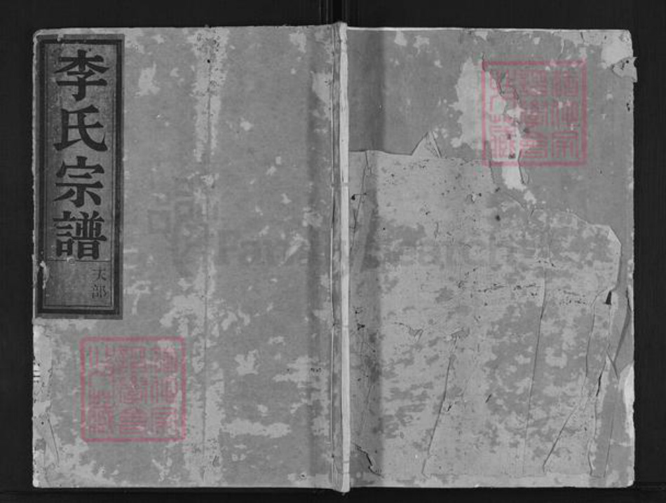 浙江省金华市武义县李氏族谱-李氏宗谱.pdf电子版