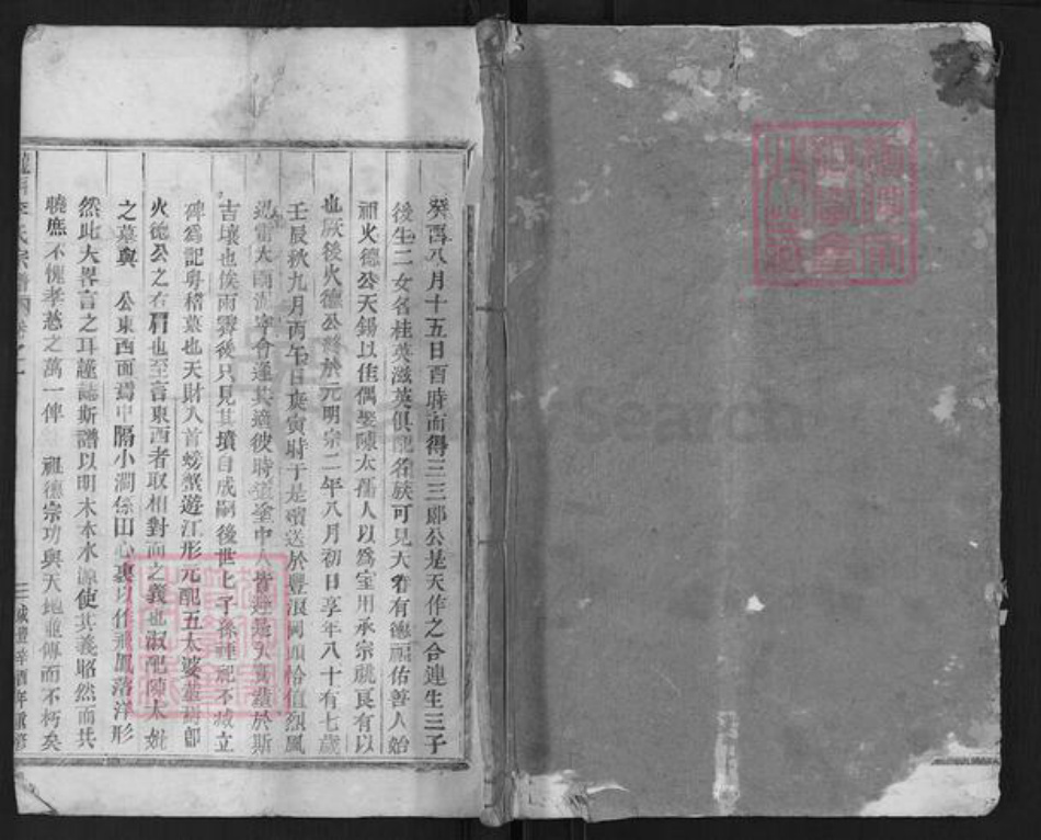 浙江省金华市武义县王宅镇李氏族谱-陇西李氏宗谱.pdf电子版