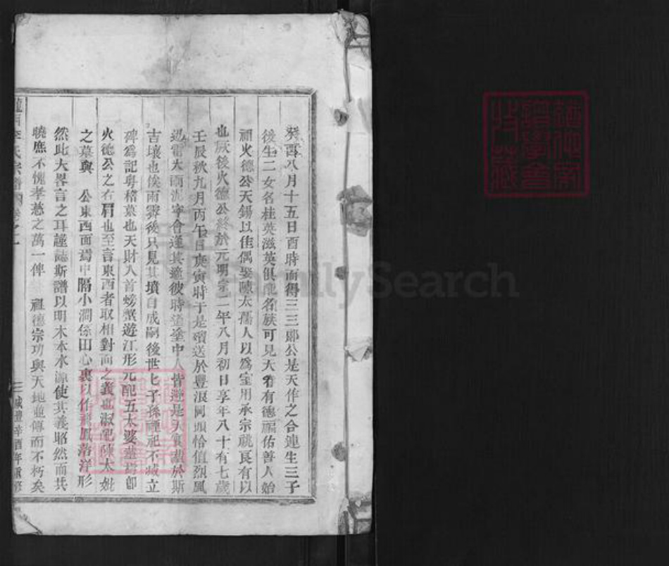 浙江省金华市武义县王宅镇李氏族谱-陇西李氏宗谱.pdf电子版插图1