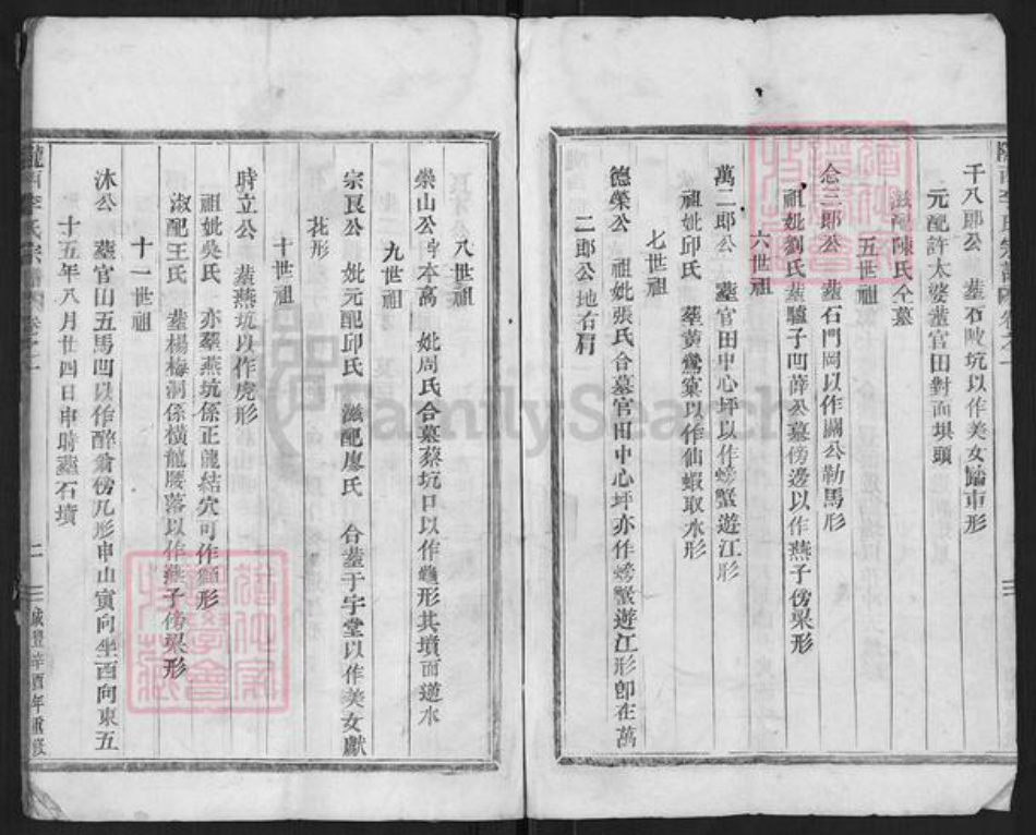 浙江省金华市武义县王宅镇李氏族谱-陇西李氏宗谱.pdf电子版插图3