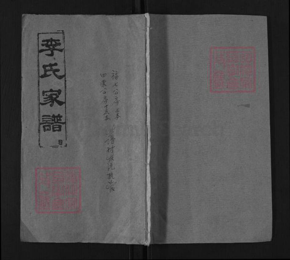 湖北省咸宁市通城县李氏陇西堂族谱-李氏家谱.pdf电子版插图