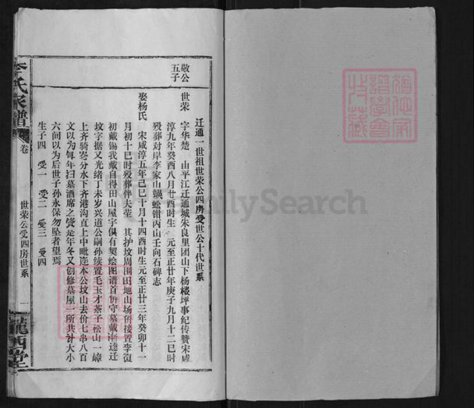 湖北省咸宁市通城县李氏陇西堂族谱-李氏家谱.pdf电子版插图1