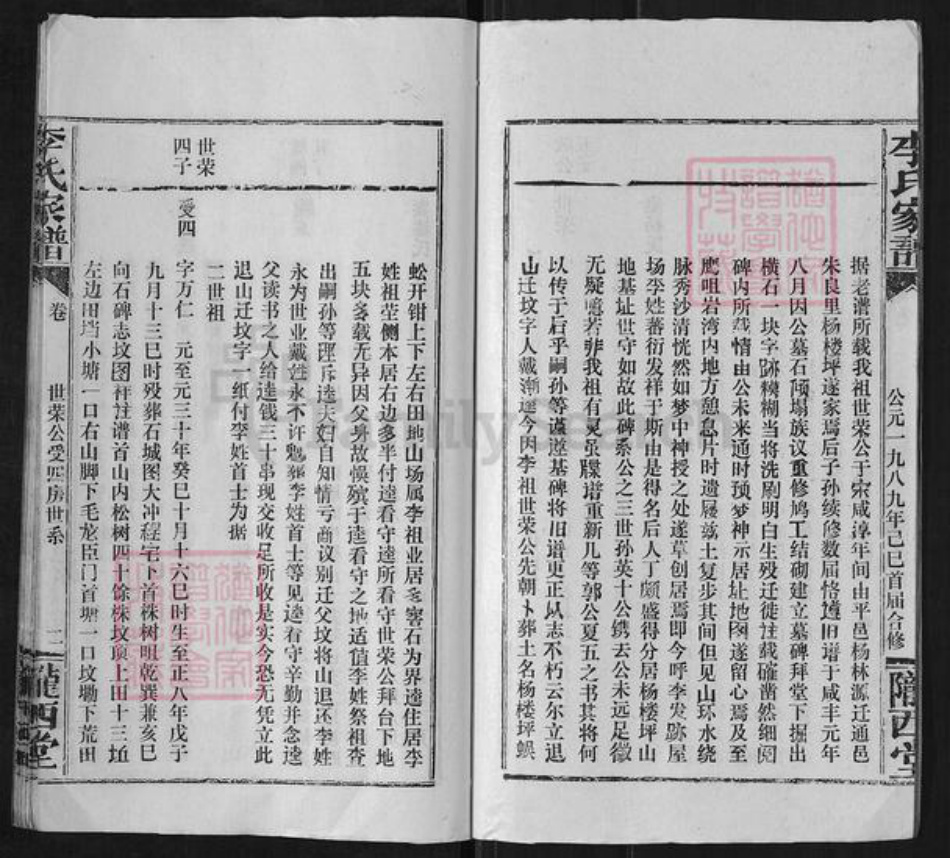 湖北省咸宁市通城县李氏陇西堂族谱-李氏家谱.pdf电子版插图2