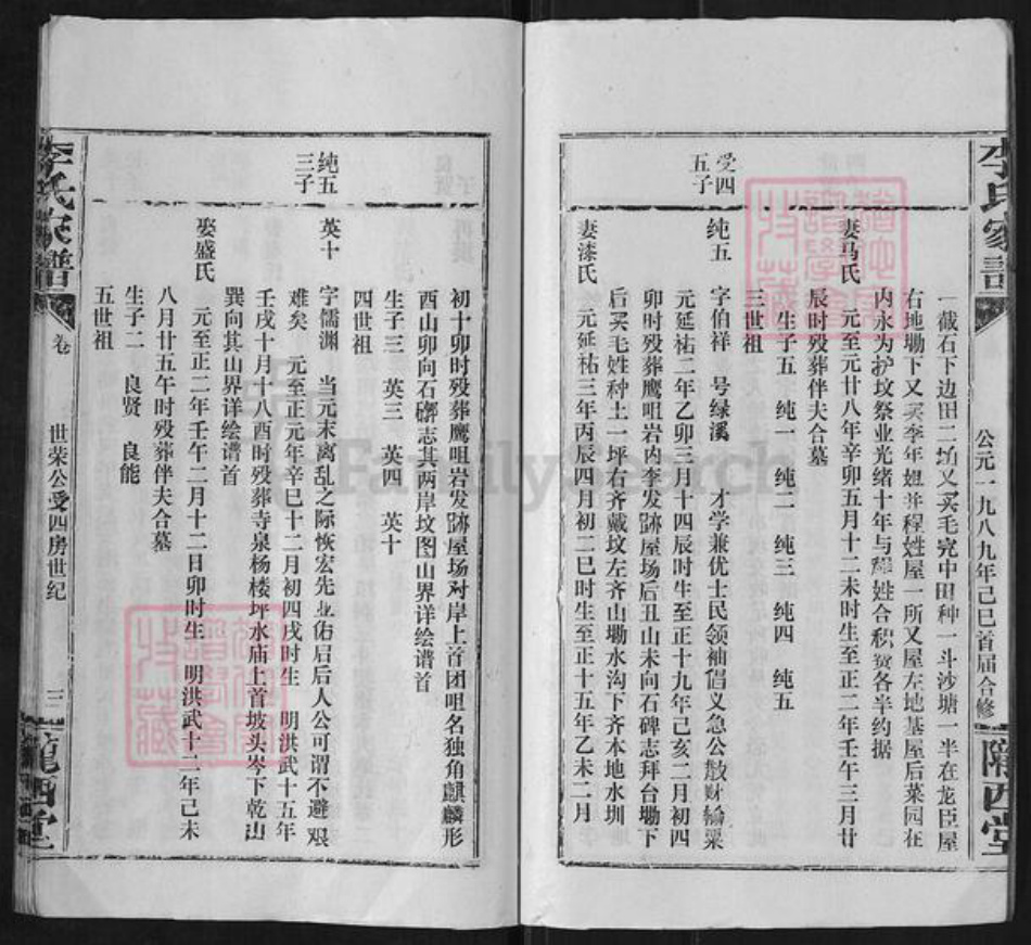 湖北省咸宁市通城县李氏陇西堂族谱-李氏家谱.pdf电子版插图3
