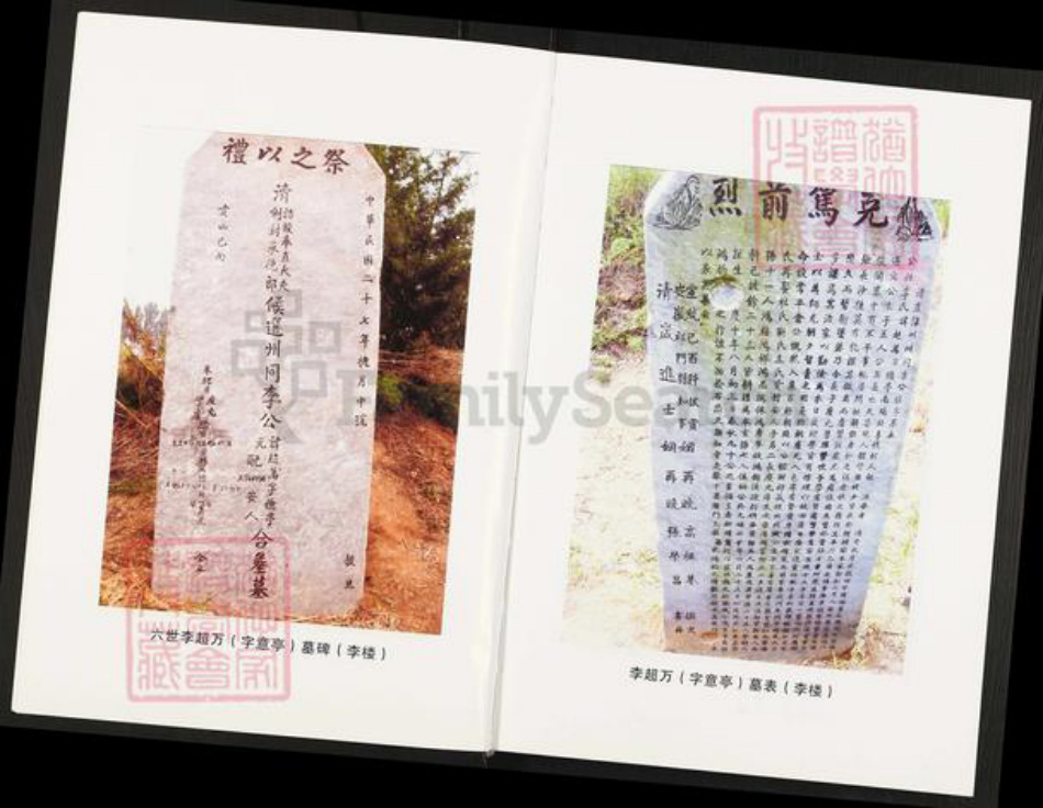 河南省南阳市方城县杨集镇李氏族谱-李氏家谱.pdf电子版插图3