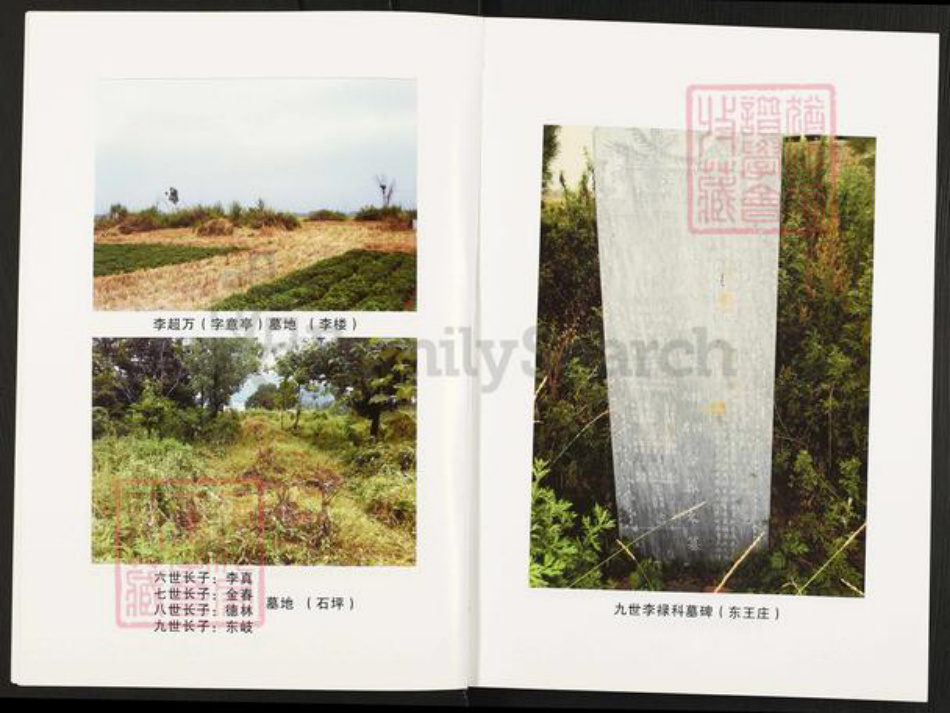 河南省南阳市方城县杨集镇李氏族谱-李氏家谱.pdf电子版插图4