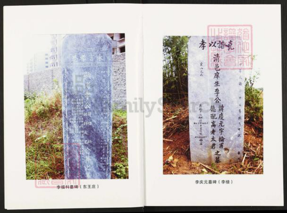 河南省南阳市方城县杨集镇李氏族谱-李氏家谱.pdf电子版插图5