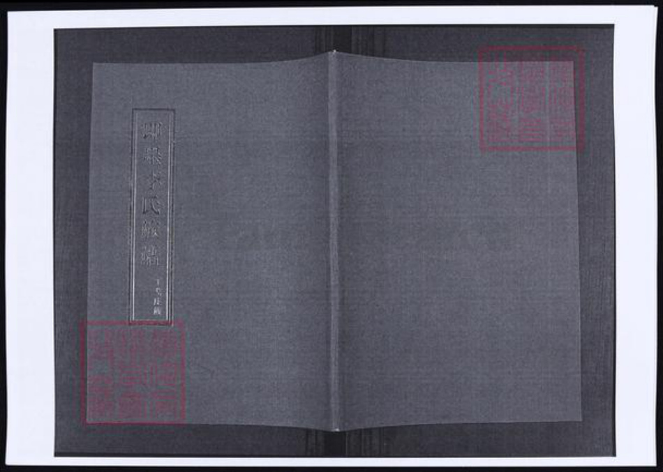 山东省青岛市即墨区李氏族谱-山东即墨丁戈庄李氏族谱.pdf电子版