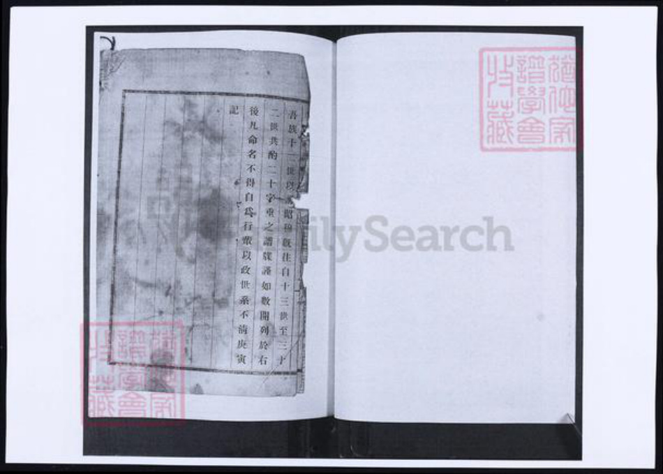 山东省青岛市即墨区李氏族谱-山东即墨营东村李氏族谱.pdf电子版插图4