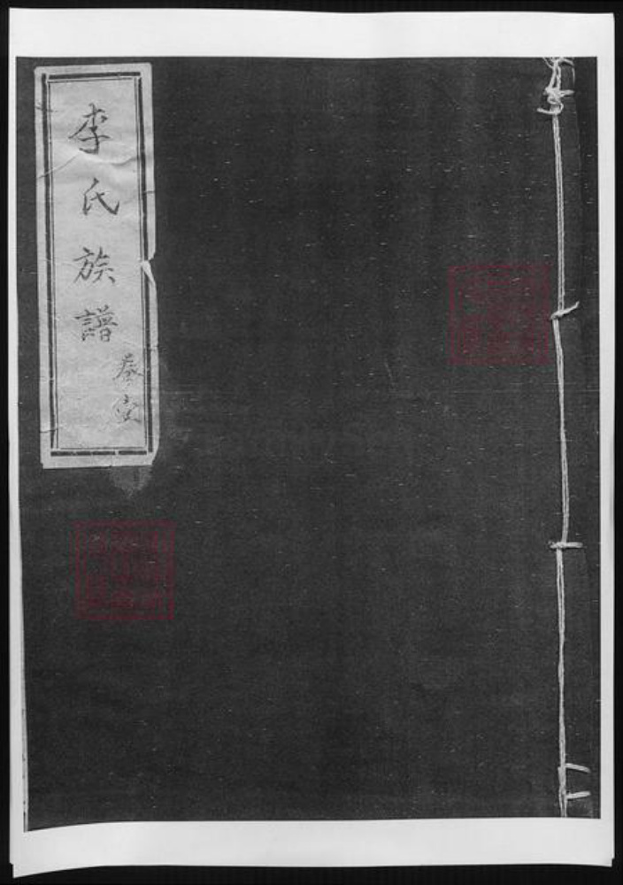 山东省聊城市李氏族谱-李氏族谱.pdf电子版插图