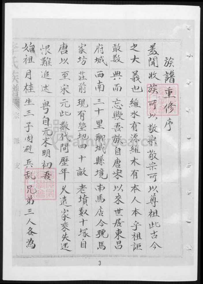 山东省聊城市李氏族谱-李氏族谱.pdf电子版插图4