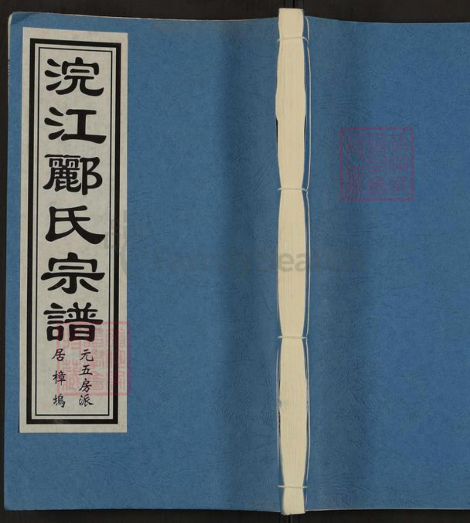 浙江省绍兴诸暨市东和乡郦氏白水堂族谱-浣江郦氏宗谱居樟坞.pdf电子版