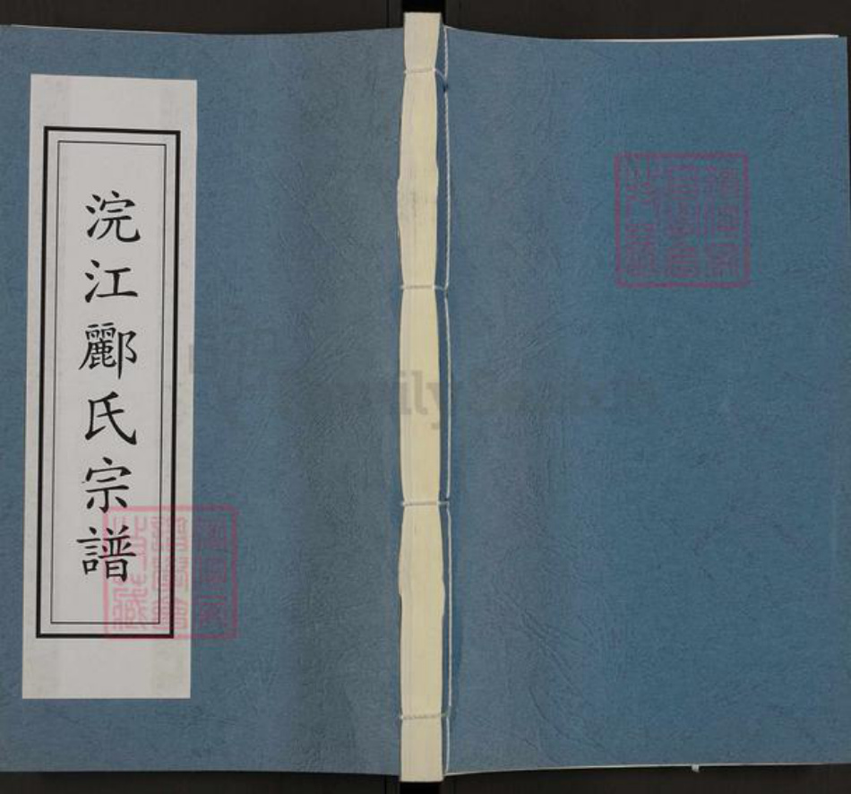 浙江省绍兴诸暨市五泄镇郦氏永思堂族谱-浣江郦氏居十四都五泄.pdf电子版插图 浙江省绍兴诸暨市五泄镇郦氏永思堂族谱-浣江郦氏居十四都五泄.pdf电子版插图