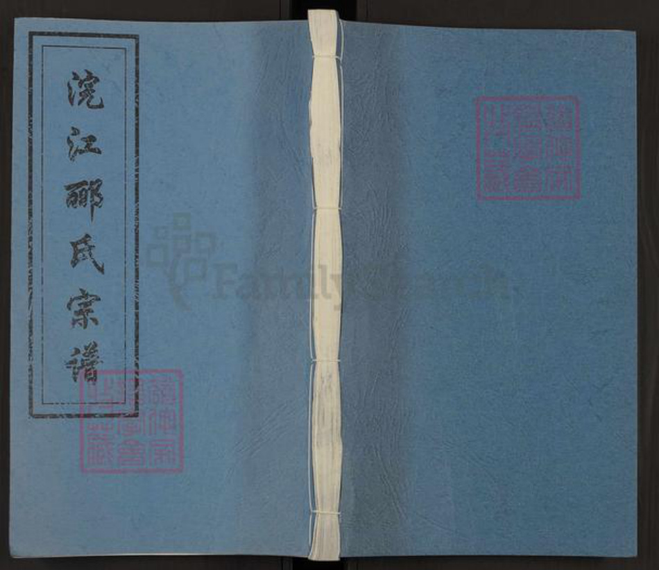 浙江省绍兴诸暨市郦氏永思堂族谱-浣江郦氏宗谱秉彝房派.pdf电子版