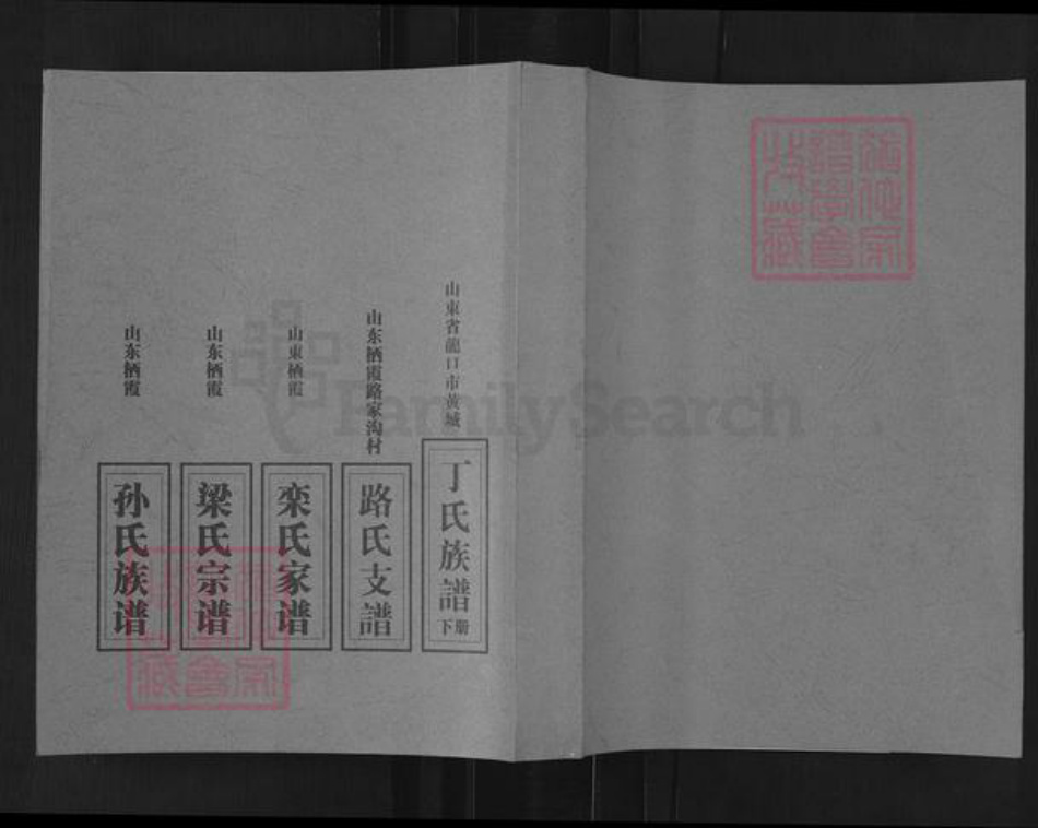 山东省烟台市莱阳市万第镇梁氏族谱-栖霞市梁氏宗谱.pdf电子版插图 山东省烟台市莱阳市万第镇梁氏族谱-栖霞市梁氏宗谱.pdf电子版插图