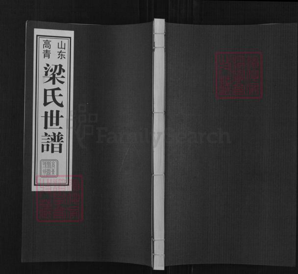 山东省淄博市高青县唐坊镇梁氏族谱-山东高青梁氏世谱.pdf电子版插图 山东省淄博市高青县唐坊镇梁氏族谱-山东高青梁氏世谱.pdf电子版插图