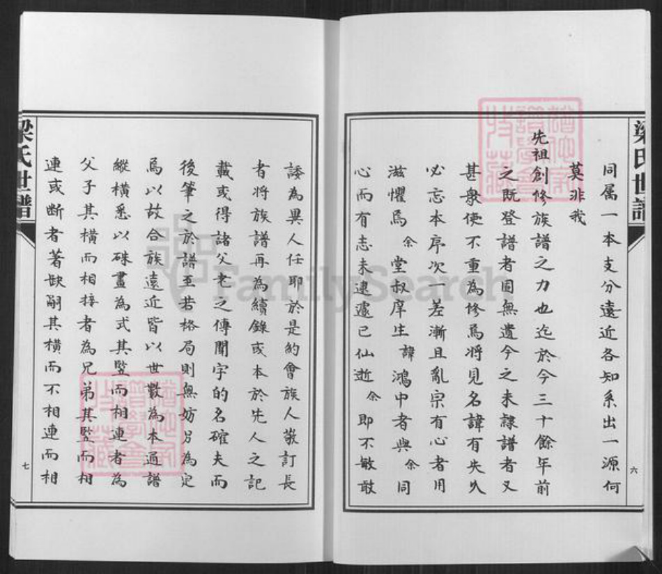 山东省淄博市高青县唐坊镇梁氏族谱-山东高青梁氏世谱.pdf电子版插图5 山东省淄博市高青县唐坊镇梁氏族谱-山东高青梁氏世谱.pdf电子版插图5