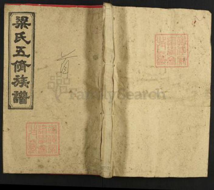 湖南省娄底市涟源市涟源梁氏学府堂族谱-梁氏五修族谱.pdf电子版