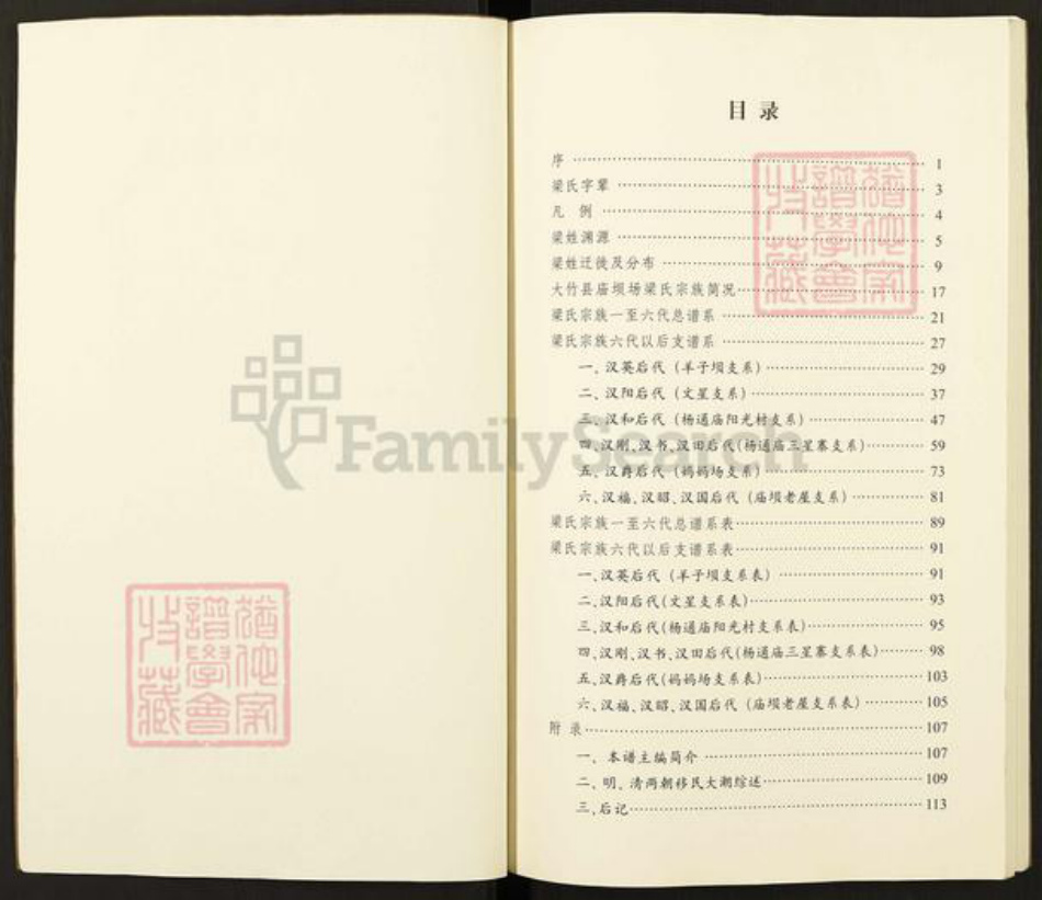 四川省达州市大竹县庙坝镇四川省达川大竹庙坝梁氏族谱-大竹县庙坝梁氏宗谱.pdf电子版插图2
