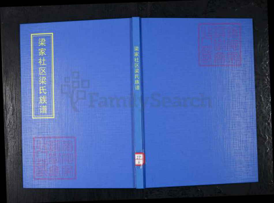 山东省青岛市崂山区梁氏族谱-梁家社区梁氏族谱.pdf电子版