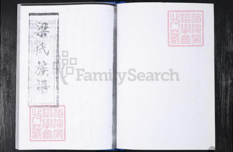 山东省青岛市崂山区梁氏族谱-梁家社区梁氏族谱.pdf电子版插图2