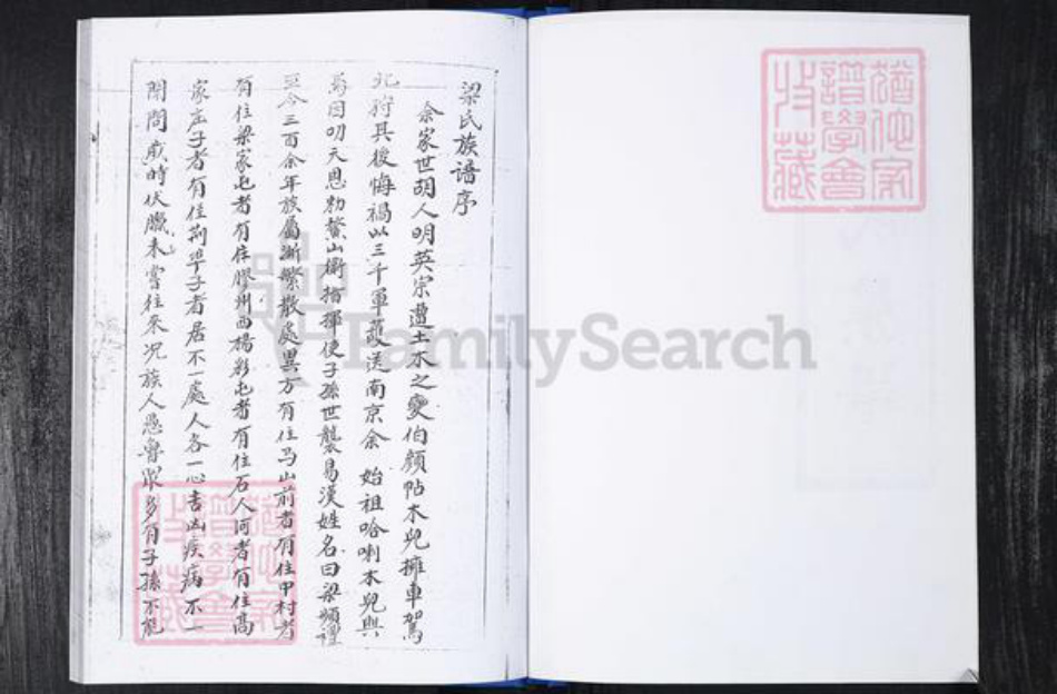 山东省青岛市崂山区梁氏族谱-梁家社区梁氏族谱.pdf电子版插图3