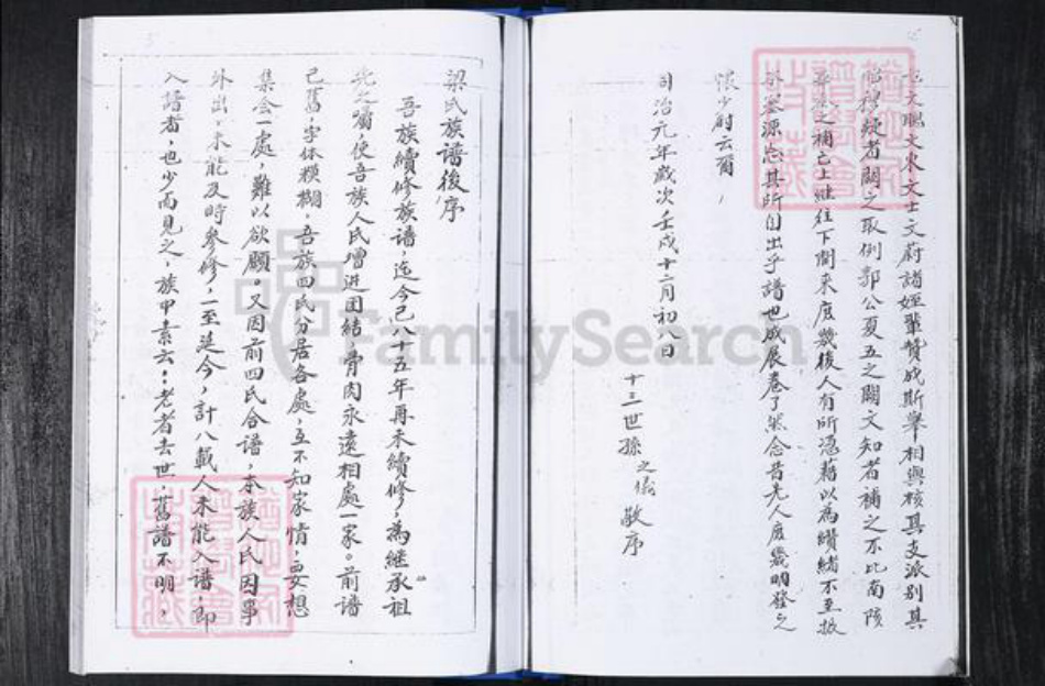 山东省青岛市崂山区梁氏族谱-梁家社区梁氏族谱.pdf电子版插图5