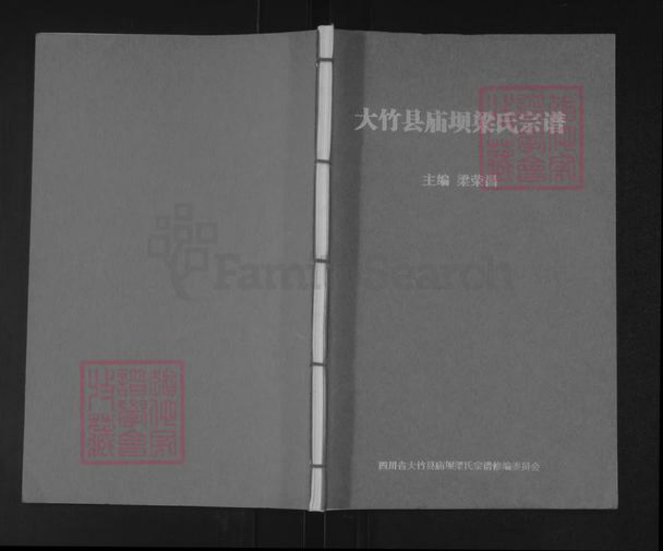 四川省达川大竹庙坝梁氏族谱-大竹县庙坝梁氏宗谱.pdf电子版