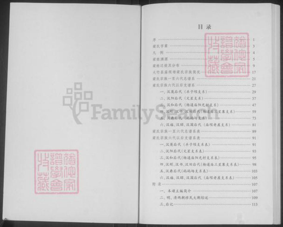 四川省达川大竹庙坝梁氏族谱-大竹县庙坝梁氏宗谱.pdf电子版插图2