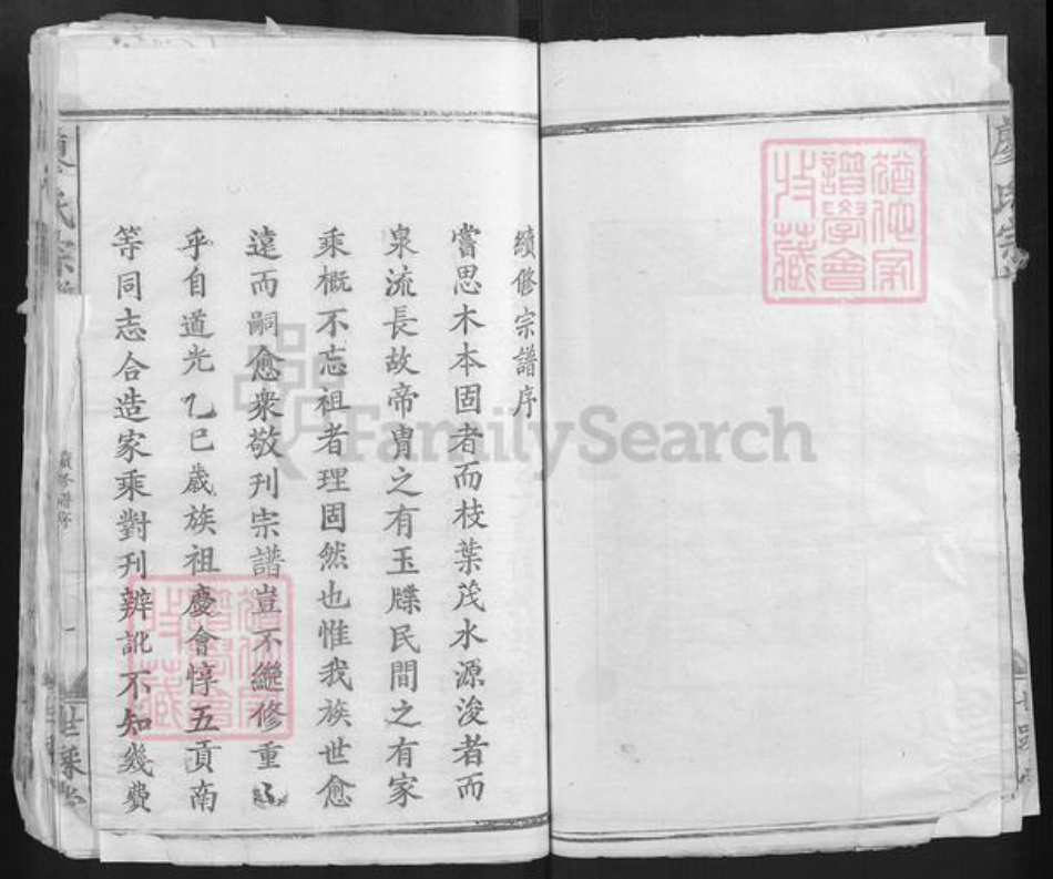 湖北省黄石市大冶市廖氏世踩堂族谱-廖氏宗谱.pdf电子版插图4