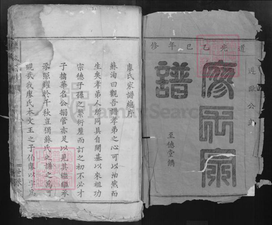 湖北省黄石市大冶市廖氏世踩堂族谱-廖氏宗谱.pdf电子版插图1