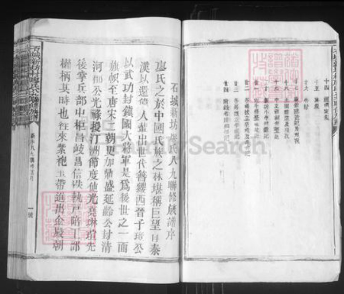 江西省赣州市石城县屏山镇廖氏族谱-石城新坊村廖氏八九联修族谱.pdf电子版插图2
