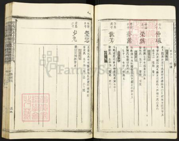 江西省赣州市石城县屏山镇廖氏族谱-石城新坊村廖氏八九联修族谱.pdf电子版插图3