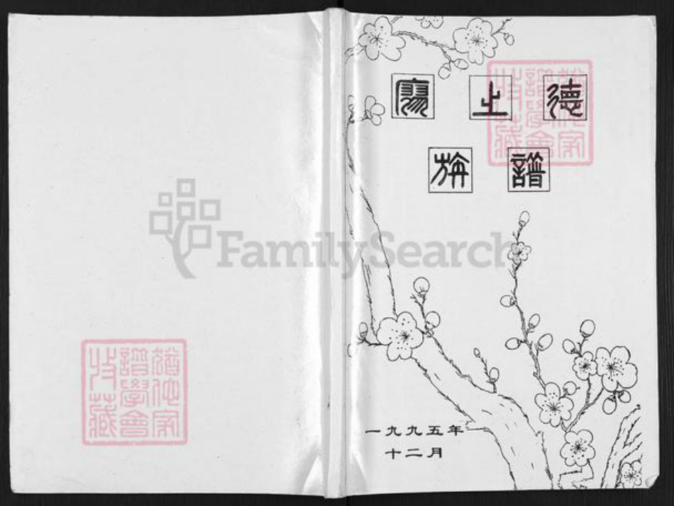 重庆市云阳县南溪镇廖氏族谱-廖之德族谱.pdf电子版