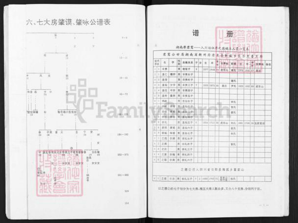 重庆市云阳县南溪镇廖氏族谱-廖之德族谱.pdf电子版插图4
