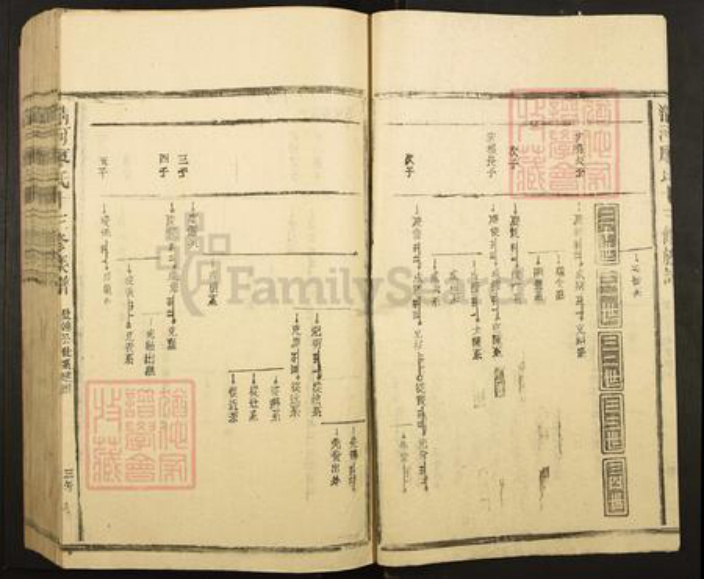江西省南昌市湾里区太平镇廖氏族谱-清河平溪廖氏十三修族谱.pdf电子版插图3