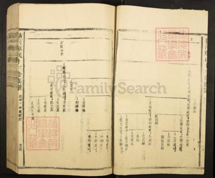 江西省南昌市湾里区太平镇廖氏族谱-清河平溪廖氏十三修族谱.pdf电子版插图5