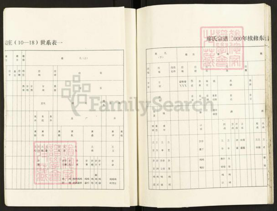 江苏省盐城市建湖县廖氏世彩堂族谱-廖氏宗谱.东庄支谱.pdf电子版插图4