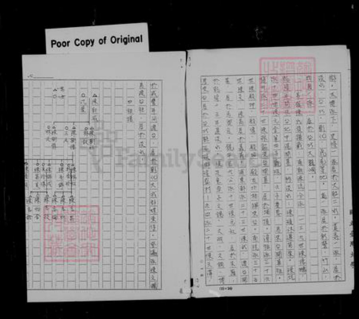 四川省宜宾市高县林氏族谱-[林氏家谱].pdf电子版插图4
