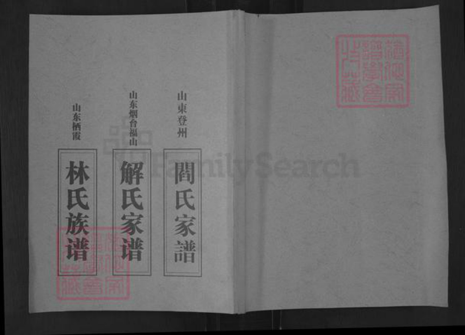 山东省烟台市栖霞市松山街道林氏族谱-林氏族谱.pdf电子版