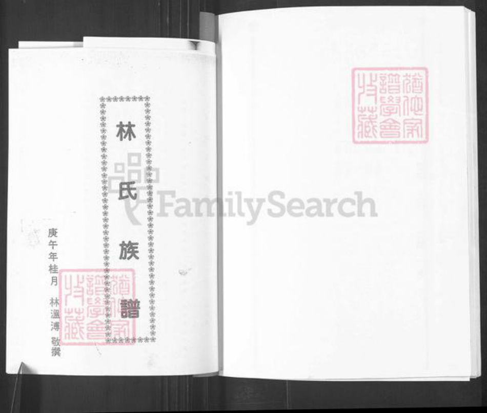 山东省烟台市栖霞市松山街道林氏族谱-林氏族谱.pdf电子版插图1