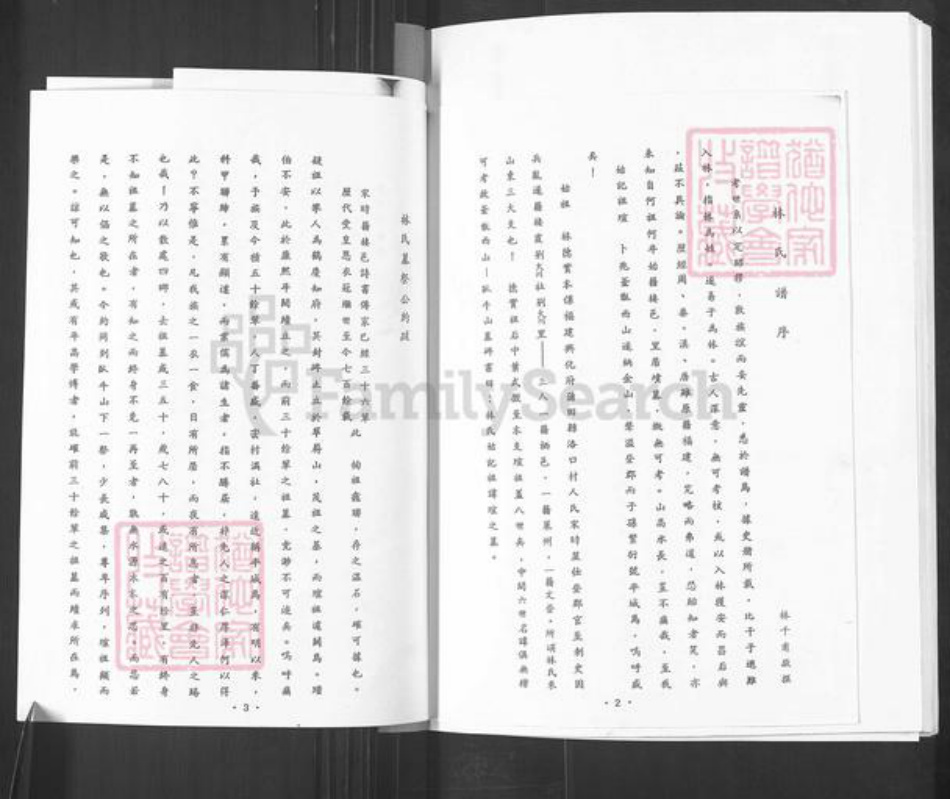 山东省烟台市栖霞市松山街道林氏族谱-林氏族谱.pdf电子版插图3