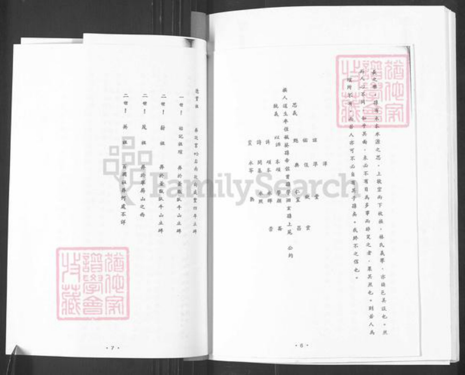 山东省烟台市栖霞市松山街道林氏族谱-林氏族谱.pdf电子版插图5